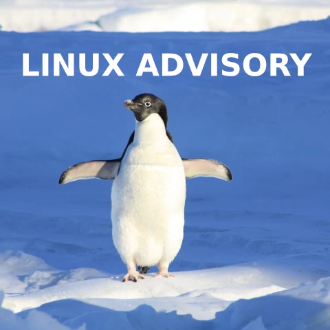 Linux Advisory